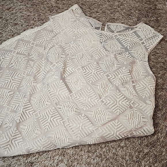 Adrianna Papell Lightweight Cream Embroidered Dress With Beige Lining Size 4 - Picture 5 of 10